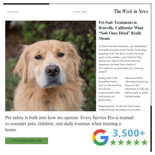 Pet-Safe Treatments in Roseville, California: What “Safe Once Dried” Really Means